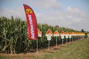 AgVenture, Inc. announces new class of hybrid corn products for 2022 planting