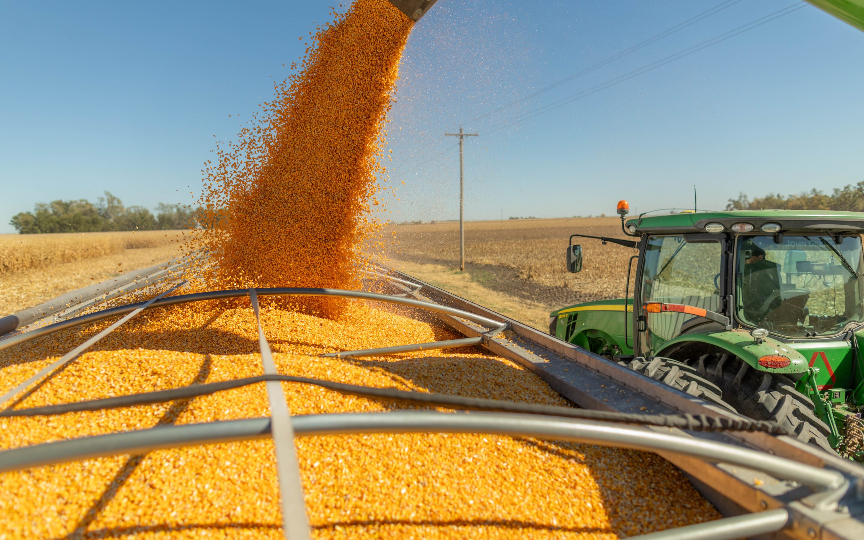 Proper Corn Harvest Timing Matters