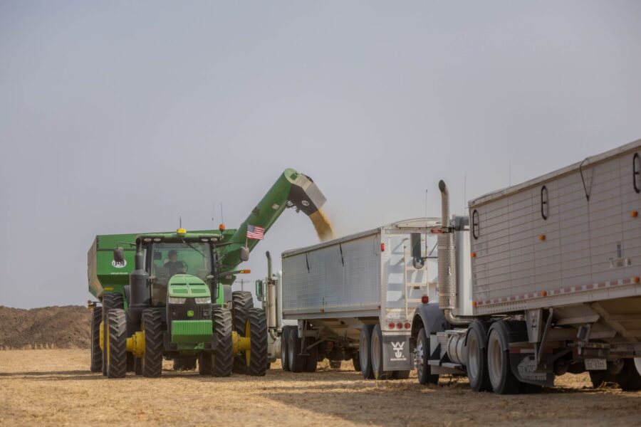 Soybean harvest