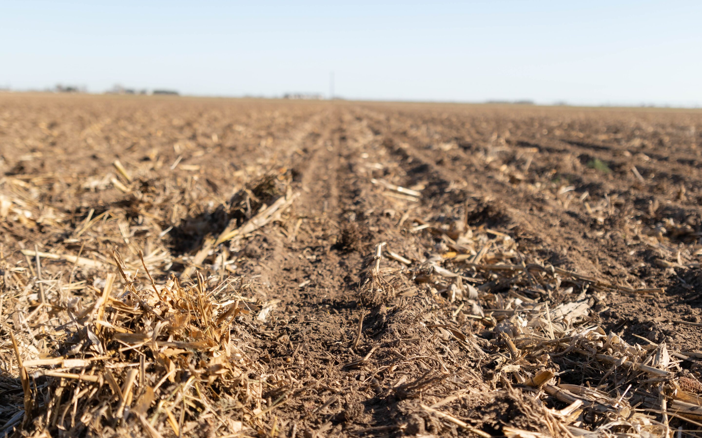 Planning For Pre-Emergent Herbicides for Corn and Soybeans