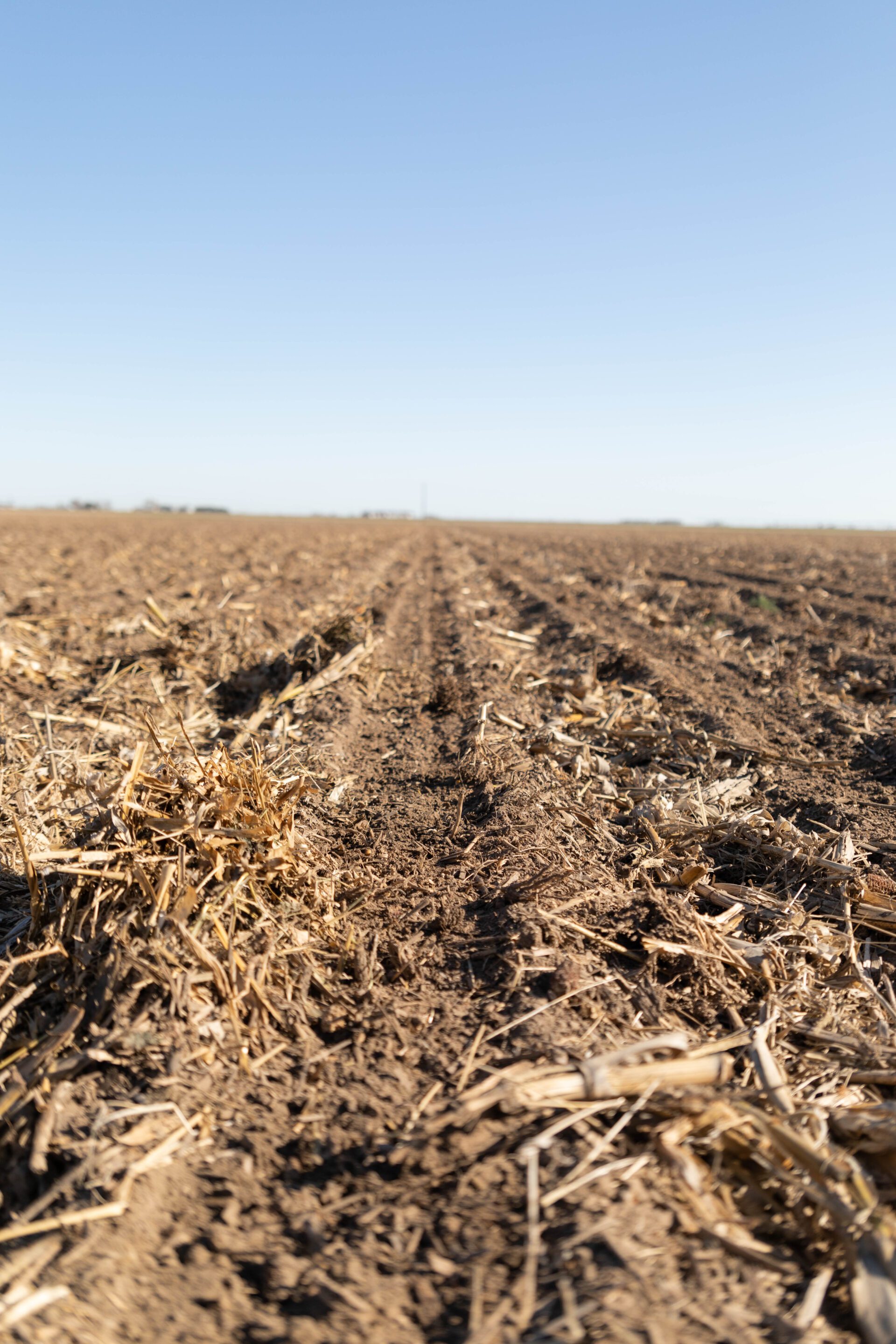 Planning For Pre-Emergent Herbicides For Corn And Soybeans | AgVenture