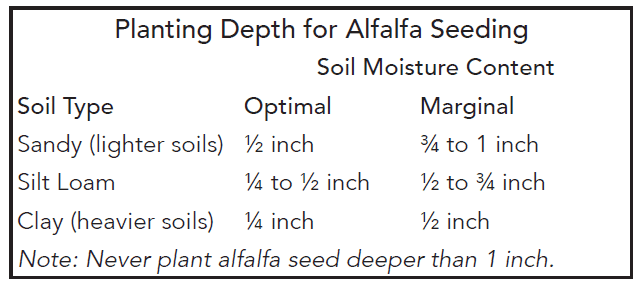 Planting Depth for Alfalfa Seeding