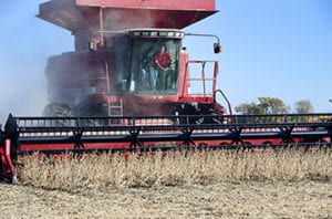 Plant 2021: Early Planting Points to Ponder