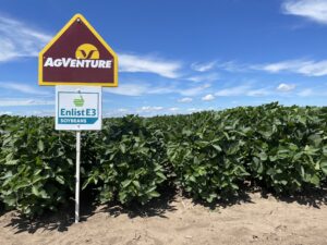 AgVenture brand Enlist E3 soybeans Johnston IA 2022 plot