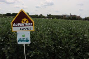 AgVenture brand Enlist E3 soybeans
