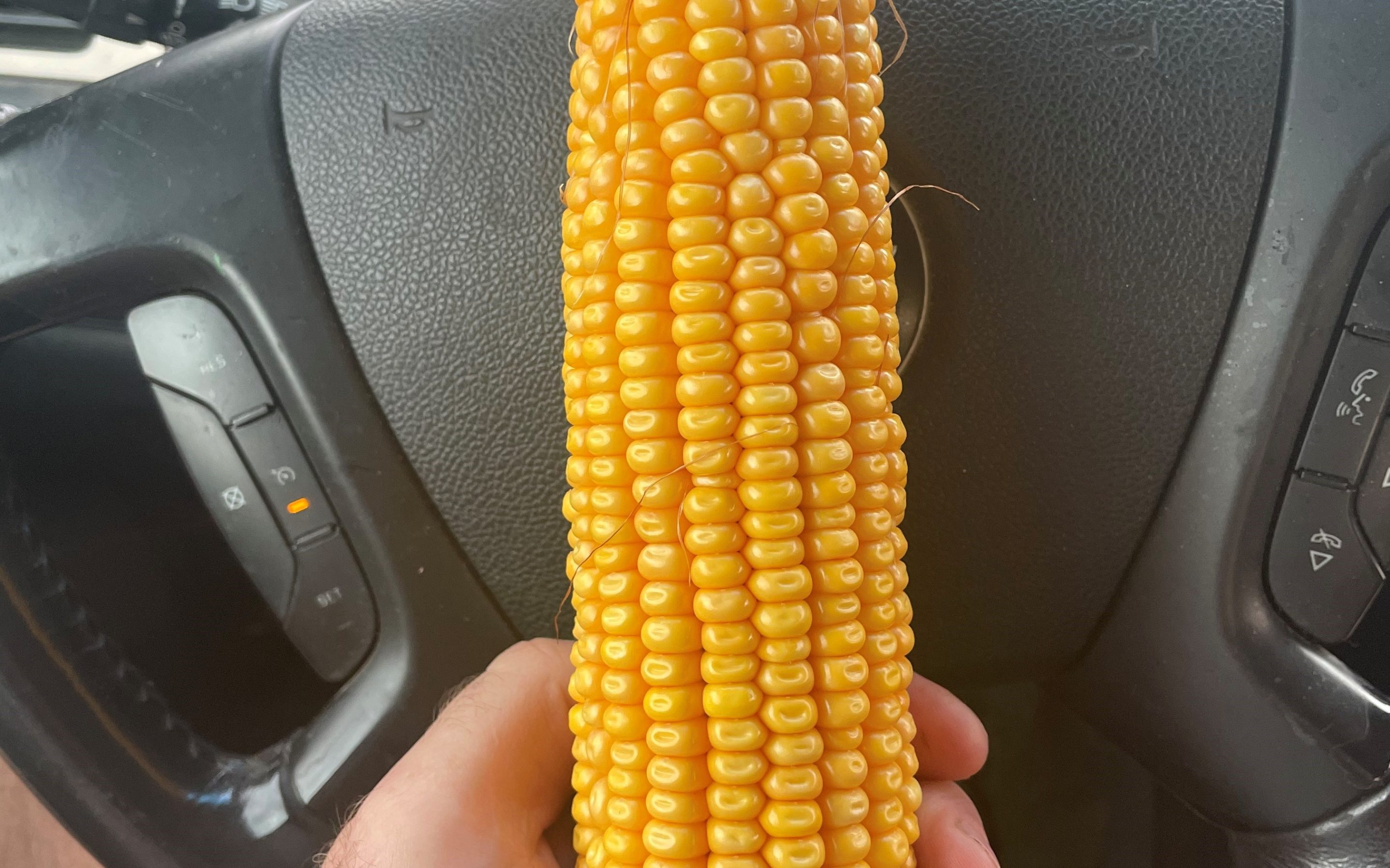 North Carolina’s Corn Yield Record Shattered