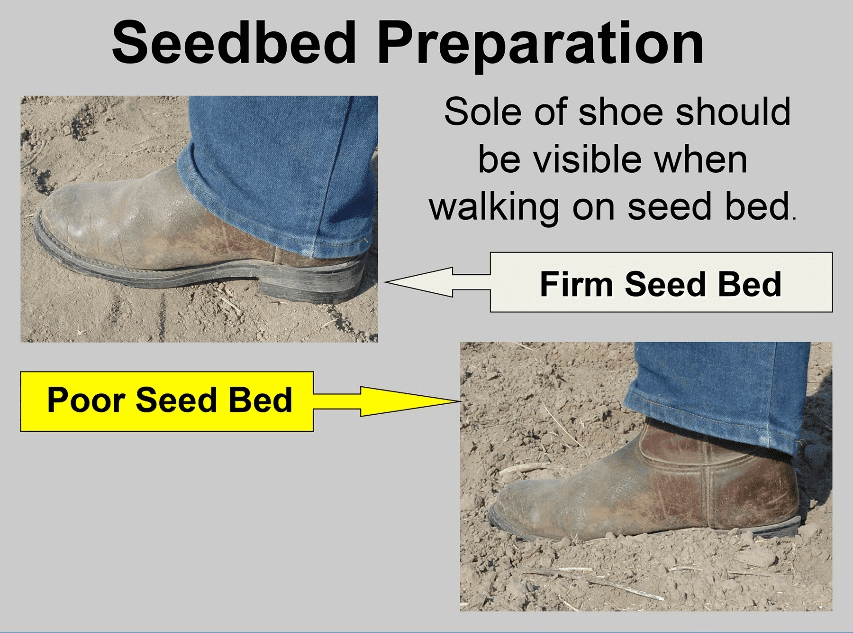 Seedbed preparation