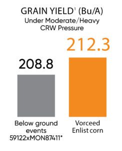 Grain yield under moderate/heavy CRW pressure