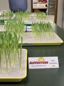 AgVenture seed quality Indiana Crop Improvement Association