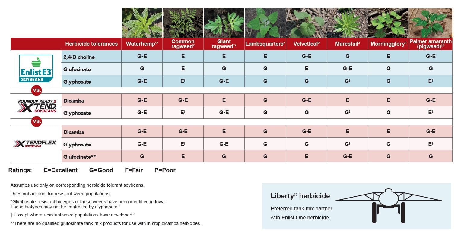 Herbicide Efficacy Comparison