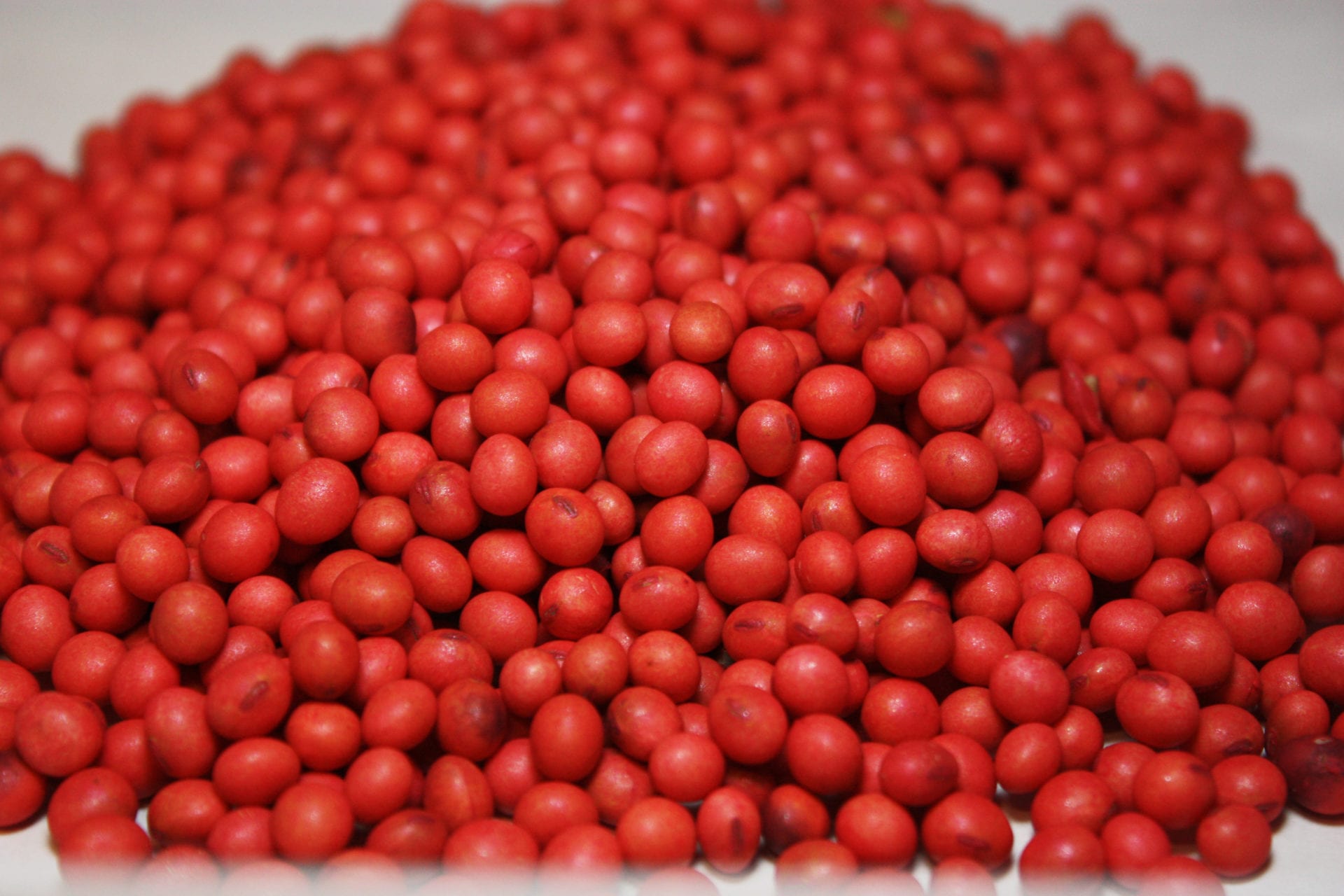 Red Soybeans